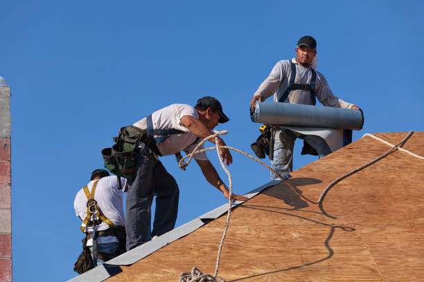 Best Storm Damage Roof Repair  in Dover, OH